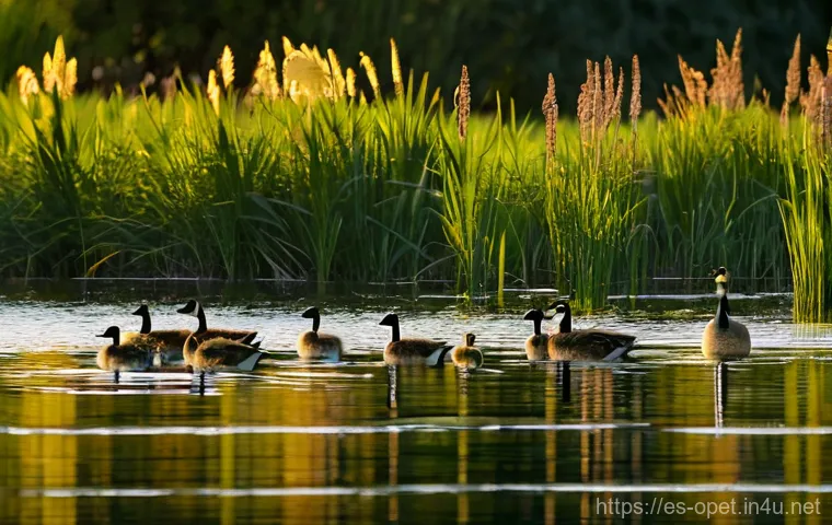 거위 사회적 행동 - Prompt 1: Serene Gosling Nursery by a Calm Lake**